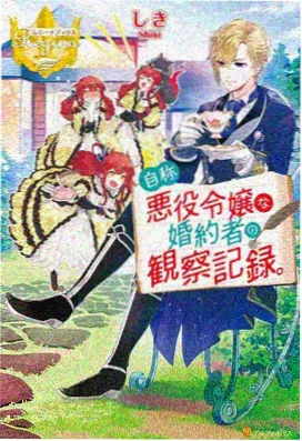漫岛动漫青春动画无名的花火师海报